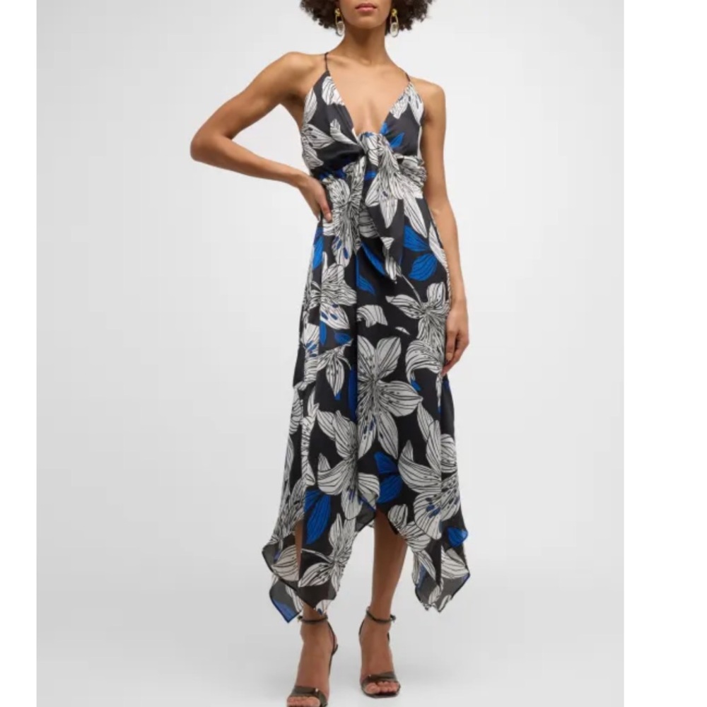 Ramy Brook Estrella Dress.